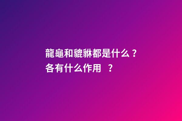 龍龜和貔貅都是什么？各有什么作用？